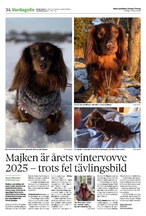 bargslagsbladet-20250314_000_00_00_034.pdf