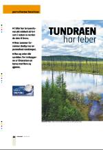 bergenstidende_btmagasinet-20070811_000_00_00_020.pdf