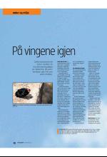 bergenstidende_btmagasinet-20081011_000_00_00_012.pdf