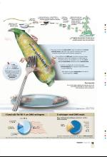 bergenstidende_btmagasinet-20090117_000_00_00_013.pdf