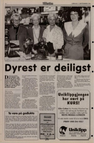 bladetvesteralen_bil-19911005_000_00_00_012.pdf