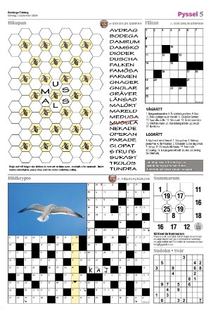 borlangetidning_bilag-20240901_000_00_00_005.pdf