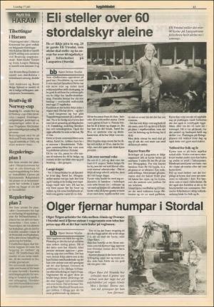 bygdebladet_ves-19990717_000_00_00_013.pdf