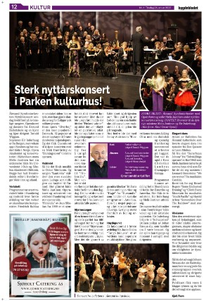 bygdebladet_ves-20250121_000_00_00_012.pdf