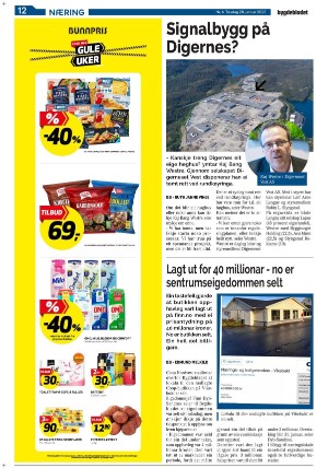 bygdebladet_ves-20250128_000_00_00_012.pdf