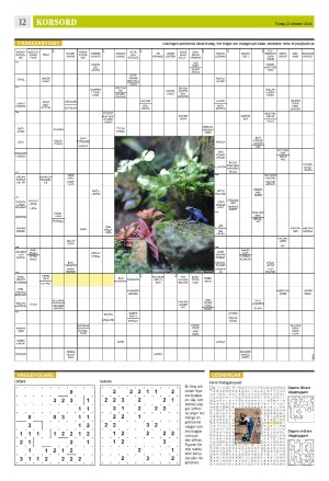 eskilstunakuriren_b-20241022_000_00_00_012.pdf