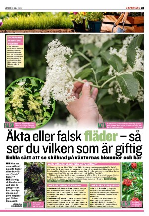 expressen_sport-20240713_000_00_00_033.pdf