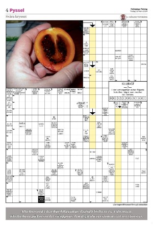 falkopingstidning_bilag-20240319_000_00_00_004.pdf