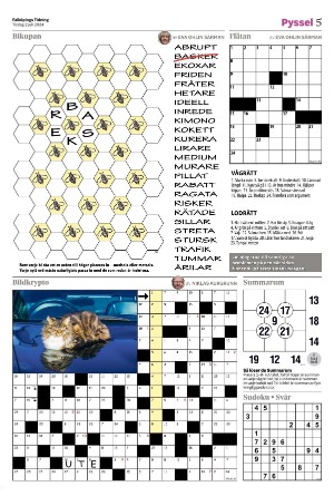 falkopingstidning_bilag-20240702_000_00_00_005.pdf