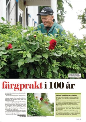 falukuriren_pralin-20180915_000_00_00_013.pdf