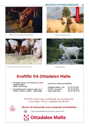fjordingen_bilag2-20210216_000_00_00_025.pdf