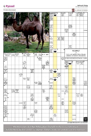 hudiksvallstidning_bilag-20240211_000_00_00_004.pdf