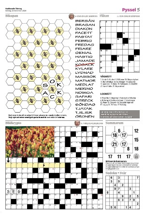 hudiksvallstidning_bilag-20241110_000_00_00_005.pdf