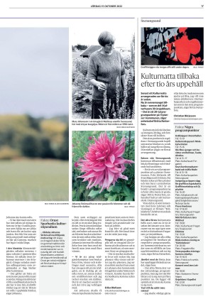 lokaltidningenstenungsund-20221015_000_00_00_017.pdf