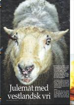 mossdagblad-20071207_000_00_00_024.pdf