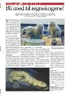 mossdagblad-20080125_000_00_00_022.pdf