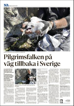 nerikesallehanda_bergslagen-20200802_000_00_00_024.pdf