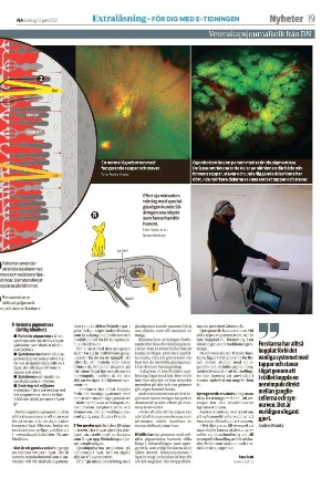 nerikesallehanda_bergslagen-20210612_000_00_00_019.pdf