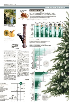 nerikesallehanda_bergslagen-20211225_000_00_00_013.pdf