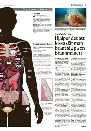 nerikesallehanda_bergslagen-20220611_000_00_00_031.pdf