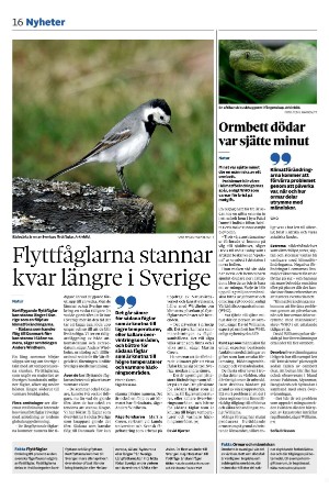 nerikesallehanda_bergslagen-20240930_000_00_00_016.pdf