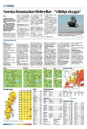 nerikesallehanda_bergslagen_b-20240911_000_00_00_016.pdf