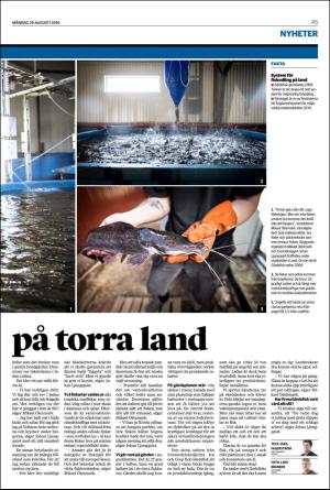 nordvastraskanestidningar-20160829_000_00_00_005.pdf