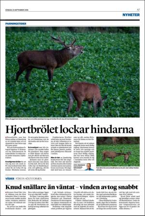 nordvastraskanestidningar-20180923_000_00_00_007.pdf