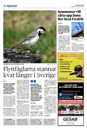 norrteljetidning-20240927_000_00_00_016.pdf