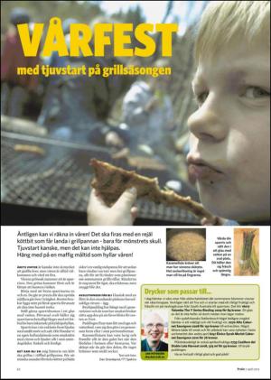 nyaludvikatidning_bilag-20120407_000_00_00_022.pdf