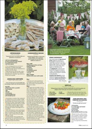 nyaludvikatidning_bilag-20120825_000_00_00_018.pdf