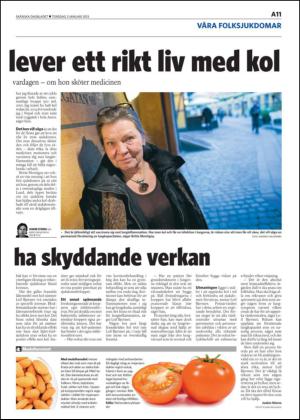 skanskadagbladet-20130103_000_00_00_011.pdf