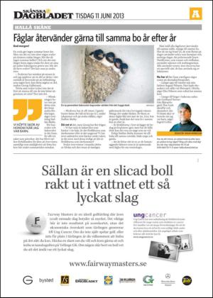 skanskadagbladet-20130611_000_00_00_024.pdf