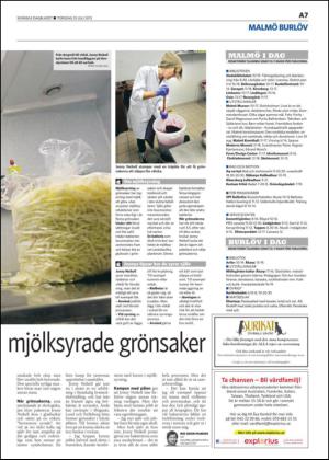 skanskadagbladet-20130725_000_00_00_007.pdf