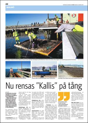 skanskadagbladet-20140312_000_00_00_008.pdf