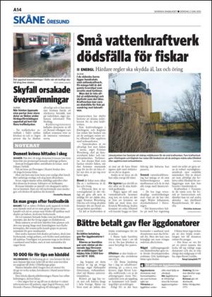 skanskadagbladet_z3-20130602_000_00_00_014.pdf