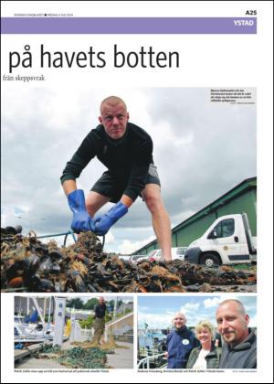 skanskadagbladet_z3-20140704_000_00_00_025.pdf