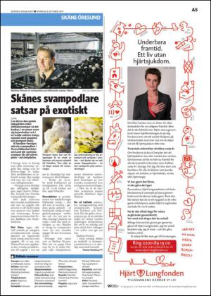 skanskadagbladet_z3-20141006_000_00_00_005.pdf