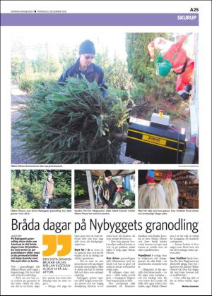 skanskadagbladet_z3-20161222_000_00_00_025.pdf