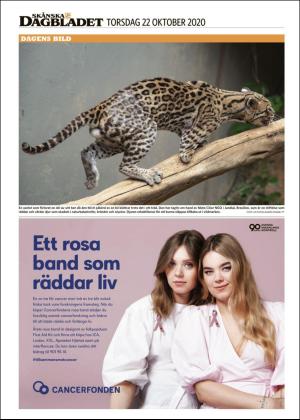 skanskadagbladet_z3-20201022_000_00_00_036.pdf