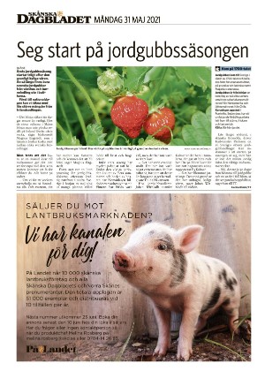 skanskadagbladet_z3-20210531_000_00_00_020.pdf