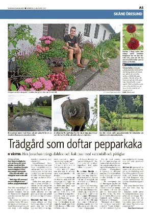 skanskadagbladet_z3-20210816_000_00_00_005.pdf