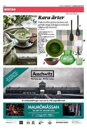 skanskadagbladet_z3-20221014_000_00_00_022.pdf