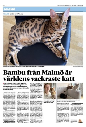 skanskadagbladet_z3-20221107_000_00_00_012.pdf