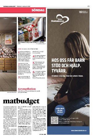 skanskadagbladet_z3-20230115_000_00_00_015.pdf