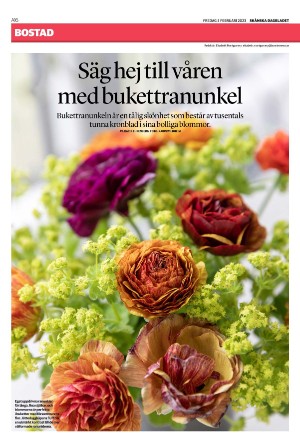 skanskadagbladet_z3-20230203_000_00_00_016.pdf