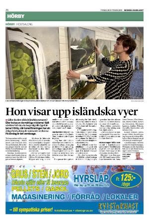 skanskadagbladet_z3-20231013_000_00_00_006.pdf