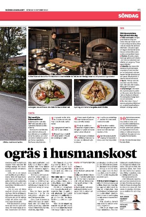 skanskadagbladet_z3-20231015_000_00_00_015.pdf