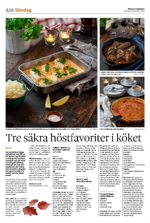 skanskadagbladet_z3-20231203_000_00_00_016.pdf