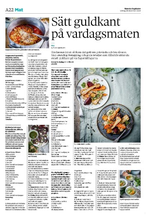 skanskadagbladet_z3-20241228_000_00_00_022.pdf